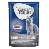 12 x 85 g Concept for Life British Shorthair Adult za skúšobnú cenu! - 12 x 85 g