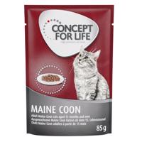 12 x 85 g Concept for Life Maine Coon Adult za výhodnú cenu na skúšku! - 12 x 85 g