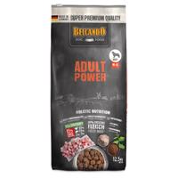 Belcando Adult Power - Ekonomické balenie: 2 x 12,5 kg