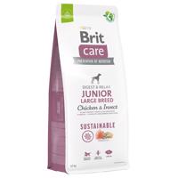 Brit Care Dog Sustainable Junior Large Breed Chicken & Insect - výhodné balenie: 2 x 12 kg