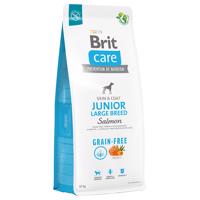 Brit Care Grain-Free Junior Large Breed Salmon & Potato - 12 kg