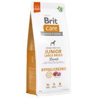 Brit Care Hypoallergenic Junior Large Breed Lamb & Rice - výhodné balenie: 2 x 12 kg