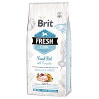 Brit Fresh Adult Large ryba s tekvicou - výhodné balenie: 2 x 12 kg