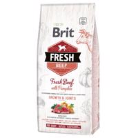 Brit Fresh Puppy Large hovädzie s tekvicou - 12 kg