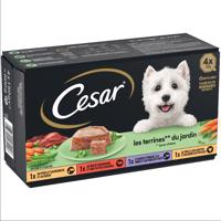 Cesar Classic Terrine Selection miešané balenie - Garden-Terrine 8 x 150 g