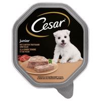 Cesar Junior mističky 14 x 150 g - s morčacím a teľacím