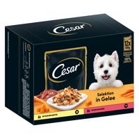 Cesar Selektion mäso a zelenina v želé - 12 x 100 g