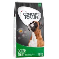 Concept for Life Adult Boxer  - výhodné balenie: 2 x 12 kg