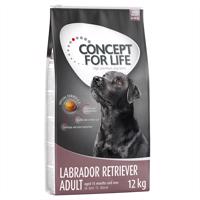 Concept for Life Adult Labradorský retríver  - výhodné balenie: 2 x 12 kg