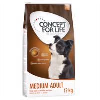 Concept for Life granule, 2 balenia - 10% zľava -  Medium Adult (2 x 12 kg)