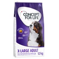 Concept for Life granule, 2 balenia - 10% zľava -  X-Large Adult  (2 x 12 kg)