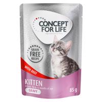 Concept for Life Kitten hovädzie bez obilnín – v omáčke - 12 x 85 g