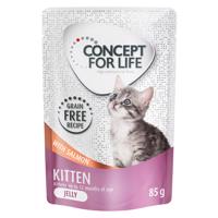 Concept for Life Kitten losos bez obilnín – v omáčke - 12 x 85 g