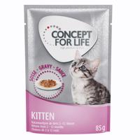 Concept for Life Kitten - v omáčke - 12 x 85 g