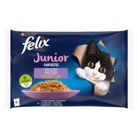 Felix Junior