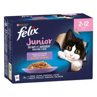 Felix ("So gut...") - Junior - kuracie, hovädzie, sardinky, losos (12 x 85 g)