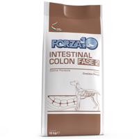 Forza 10 Active Line Intestinal Colon Phase 2 - výhodné balenie: 2 x 10 kg