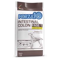 Forza 10 Intestinal Colon Phase 1 jahňacie - 10 kg