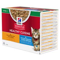 Hill's Science Plan Kitten Healthy Cuisine s kuracím a morskými rybami - 12 x 80 g