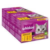 Jumbobalenie Whiskas 1+ Adult kapsičky 144 x 85 g - hydinový výber v omáčke