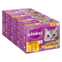 Jumbobalenie Whiskas 1+ Adult kapsičky 144 x 85 g - hydinový výber v želé