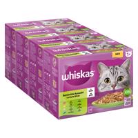 Jumbobalenie Whiskas 1+ Adult kapsičky 144 x 85 g - miešaný výber v želé