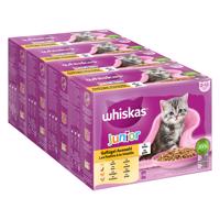 Jumbobalenie Whiskas Junior kapsičky 144 x 85 g - hydinový výber v želé