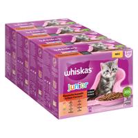 Jumbobalenie Whiskas Junior kapsičky 144 x 85 g - klasický výber v omáčke