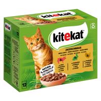 Kitekat kapsičky 48 x 85 g - poľovnícke hody v omáčke