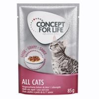 Miešané výhodné balenie Concept for Life želé & omáčka 24 x 85 g  - All Cats v omáčce a želé