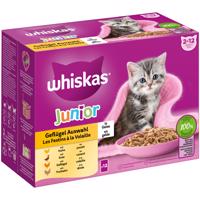 Multibalenie Whiskas Junior kapsičky 12 x 85 g/100 g - hydinový výber v želé