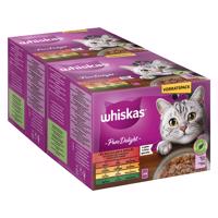 Multibalenie Whiskas Pure Delight kapsičky 48 x 85 g - klasické ragú v želé