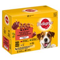 Pedigree Adult kapsičky - 12 x 100 g v omáčke