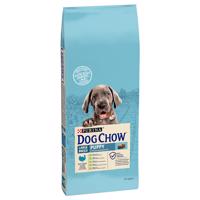 PURINA Dog Chow