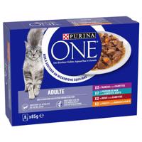 Purina ONE ADULT 8 x 85 g - mix (4 druhy)