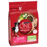 PURINA ONE Medium/Maxi Weight Control Sterilised Turkey - 2,5 kg