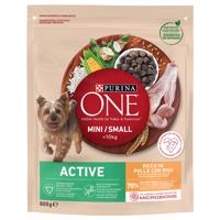 PURINA ONE Mini Active Chicken & Rice - 800 g