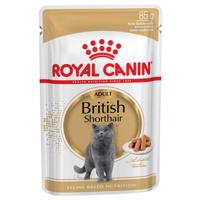 Royal Canin British Shorthair Adult v omáčke - 12 x 85 g