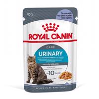 Royal Canin FCN Urinary Care v želé - 12 × 85 g