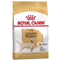 Royal Canin Labrador Retriever Adult - 3 kg