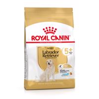 Royal Canin Labrador Retriever Adult 5+ - výhodné balenie: 2 x 12 kg