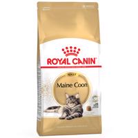 Royal Canin Maine Coon Adult - 10 kg