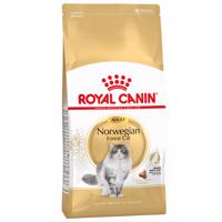 Royal Canin Norwegian Forest Cat Adult - výhodné balenie 2 x 10 kg