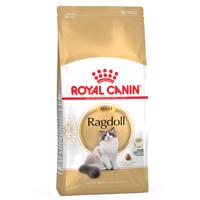 Royal Canin Ragdoll Adult - 10 kg