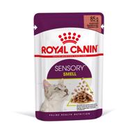 Royal Canin Sensory Smell v omáčke - 12 x 85 g