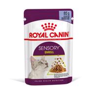 Royal Canin Sensory Smell v želé - 12 × 85 g