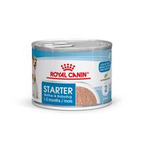 Royal Canin Starter Mother & Babydog Ultra Soft Mousse - 12 x 195 g