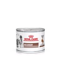 Royal Canin Veterinary Feline Recovery Ultra Soft Mousse - 24 x 195 g