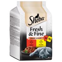 Sheba Fresh & Fine 12 x 50 g - fine selection