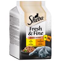 Sheba Fresh & Fine 12 x 50 g -  kuracie a morčacie v omáčke